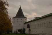 Новоспасский монастырь. Стены